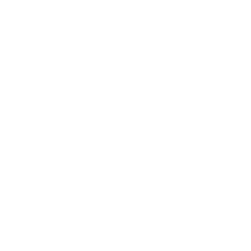 Balloon Rides NY